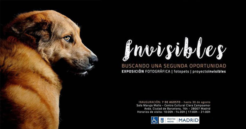 Exposición del Proyecto 'Invisibles' de Fotopets en Madrid